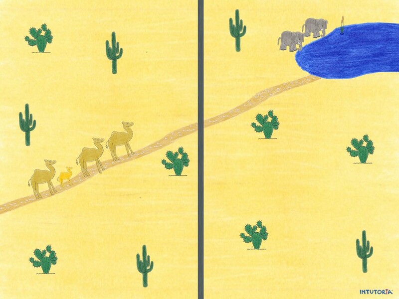 Spiel 7 - Kamele in der Wüste